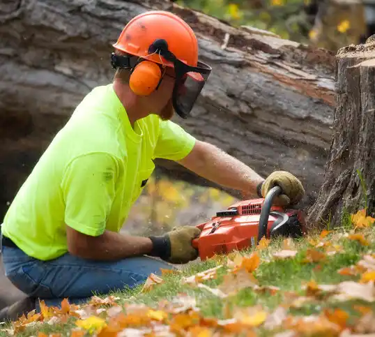 tree services Eldersburg